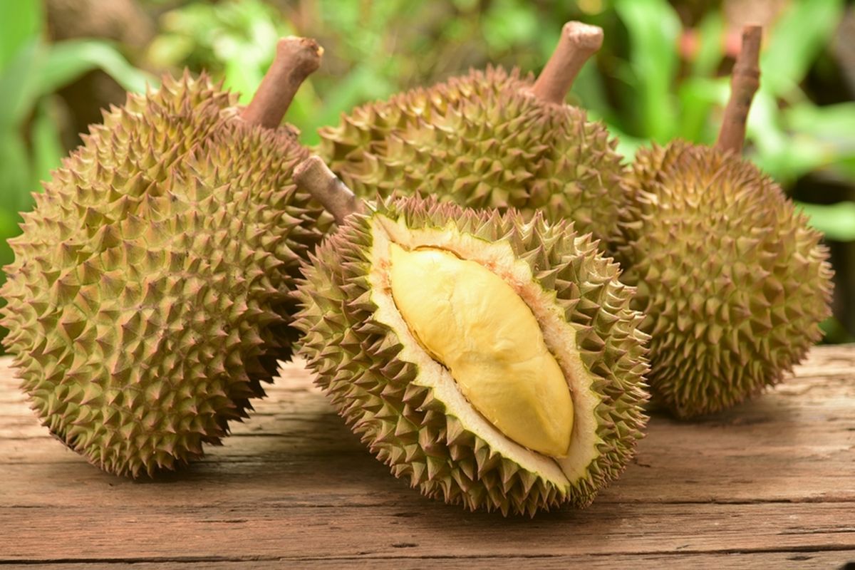 Ucok durian