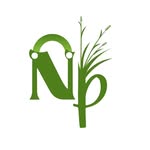 Nasti Purun
