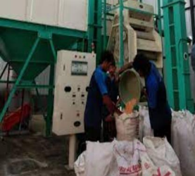 Pembangunan Pabrik Jagung