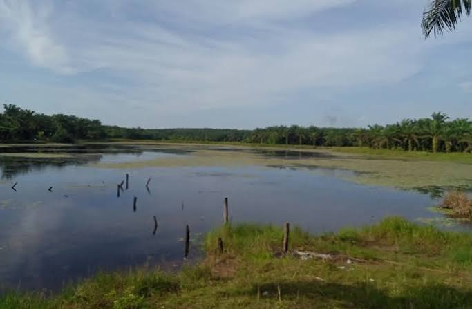 Danau Gayambang Sosa