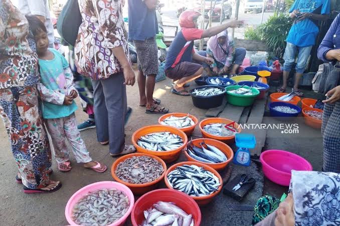 Festival Kuliner Ikan Laut Tapanuli Tengah