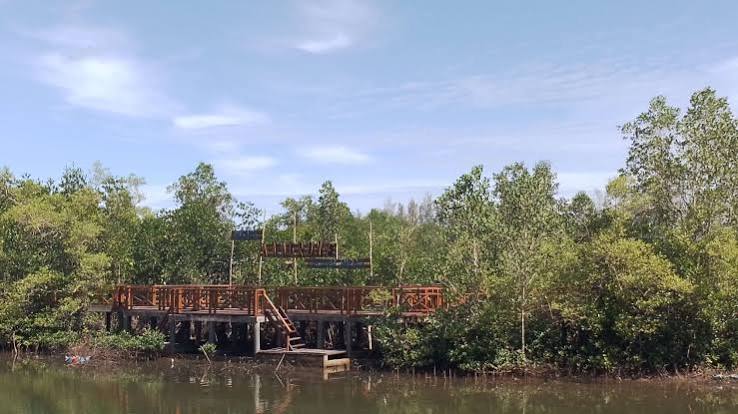 Kawasan Wisata Mangrove Muara Indah