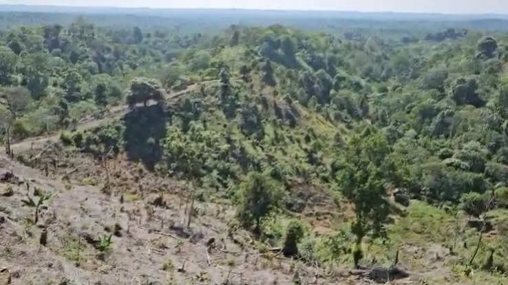 Agrowisata Perkebunan Sawit, Durian dan Jeruk