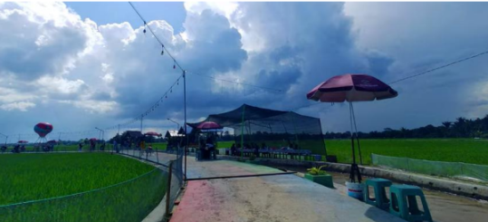 Wisata Sawah Kwala Gunung