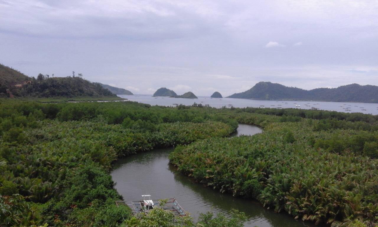 Hutan Mangrove Lima Puluh Pesisir