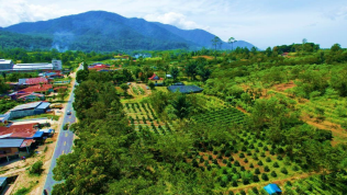 Agrowisata Lumbanjulu